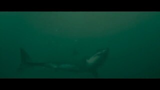 Watch Full INTO THE DEEP Movies For Free: Link In Description