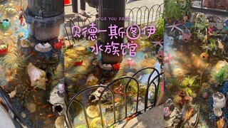 来看布鲁克林的人行道水族馆🐟🐠