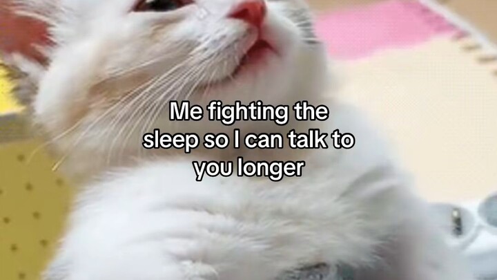 sleepy😴