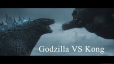 Godzilla VS Kong