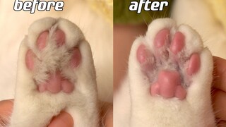 猫咪足部spa，舒服到升天了！超解压～