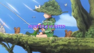 Hunter x Hunter