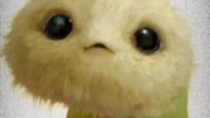 以 实 物 为 主～