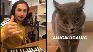 The Kiffness X Alugalug Cat 2.0 (Please Go Away)