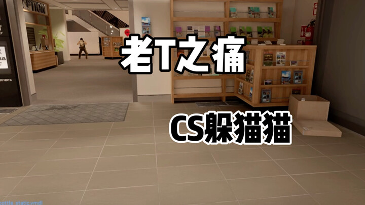 เกมซ่อนหาใน CS2: ความเจ็บปวดของ老T