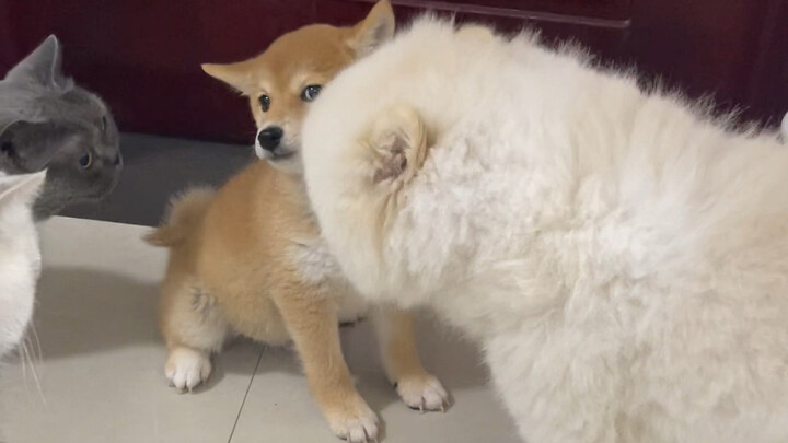 Kisah kecil saat Wan Yi Er pertama kali bertemu Jiaozi