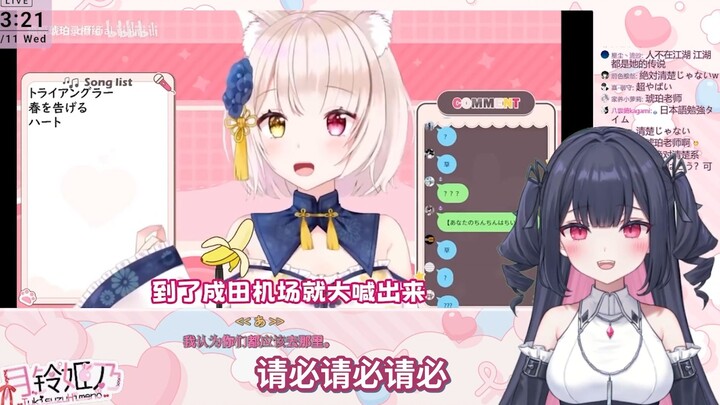 日v看琥珀老师《日本猫猫教你超实用日语，你学废了吗?》