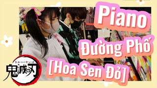 Piano Đường Phố [Hoa Sen Đỏ]