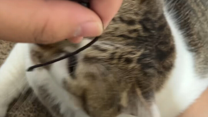 แค่เขาพยายามไปผิดทิศทางเท่านั้นเอง