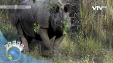 Ozie Boo Save The Planet + Sadie Sparks ( VTV HD ) 1/9/2025 • [ You TV Feed ]