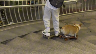 Menang tipis 🫶🐶🛹🥳 Pertandingan ini cukup menarik untuk disaksikan 🔥🔥🔥 Hari ini sangat beruntung bisa