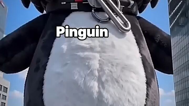 Pinguin Ini Imut Banget!?