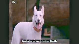 Review phim: Hành trình cứu chủ nhân của June - Hãy biết yêu thương trước khi mọi thứ đã quá muộn