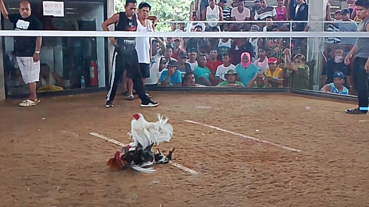 slowmo at least tabla