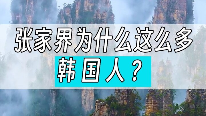 Vì sao Trương Gia Giới lại có nhiều du khách Hàn Quốc đến vậy? Hãy xem cư dân mạng trả lời thế nào