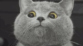 The no-smiling challenge is here again... Let's see who can last until the end ⁽(◍˃̵͈̑ᴗ˂̵͈̑)⁽