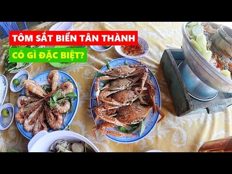 Khám phá biển Tân Thành và thưởng thức các món ăn hải sản