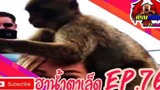 คลิปตลกต่างประเทศ ทั้งขำและสงสาร Best the Fails 2020