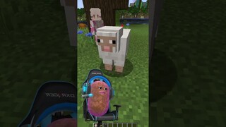 CARA MEMBUAT DOMBA MENJADI WARNA WARNI DI MINECRAFT !! GAMPANG BANGET GUYS !! #shorts #short