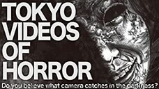 tokyo videos of horror vol. 2