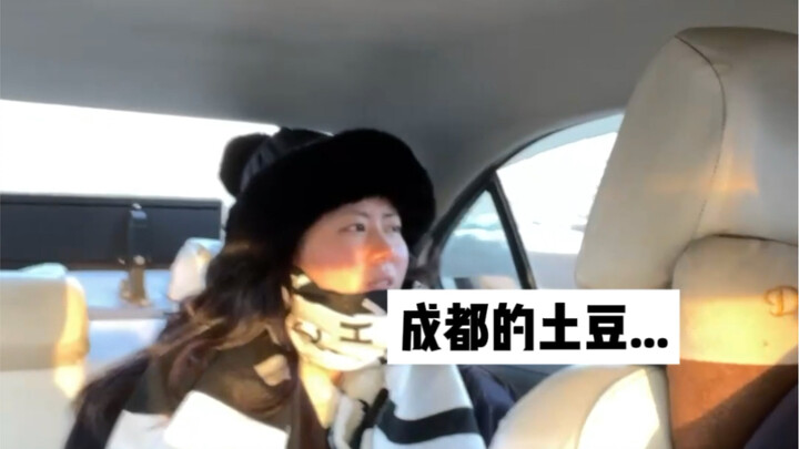 The drivers in Harbin speak really "gently"!