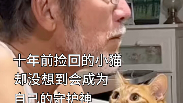 猫猫：我的眼里有光更有你