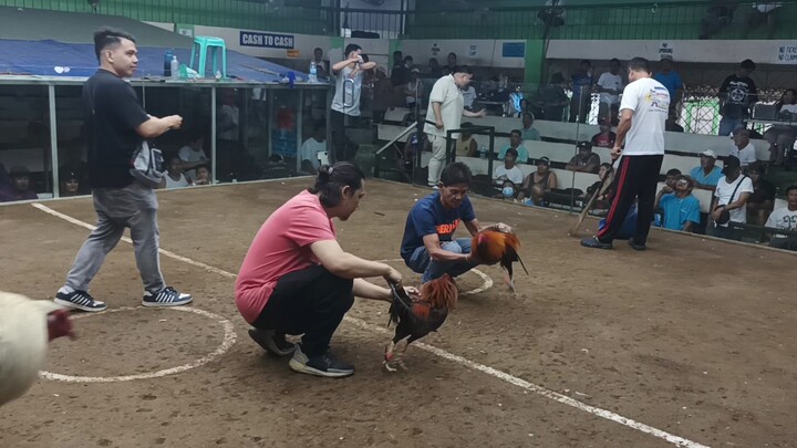 jan 21 2026 2hits 2fight Lost