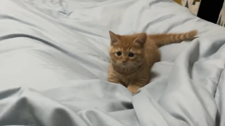 อยู่ดีๆ ก็สังเกตว่ามันไม่ซนเหมือนเมื่อก่อนอีกแล้ว…