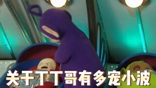 关于丁丁哥有多宠小波