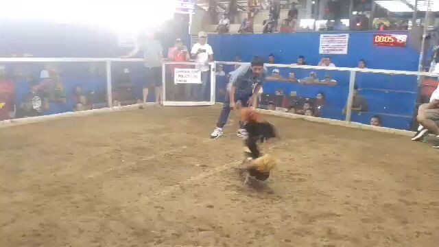 hindi naka sugat kalaban sinaglit lang 😁