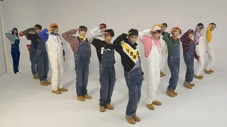 《Về việc cuối cùng tôi cũng đột nhập được vào phòng tập của Seventeen và trở thành thành viên thứ 14