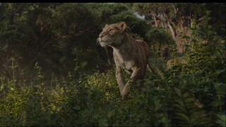 Mufasa: Legacy of the Lion King 👑Link in description