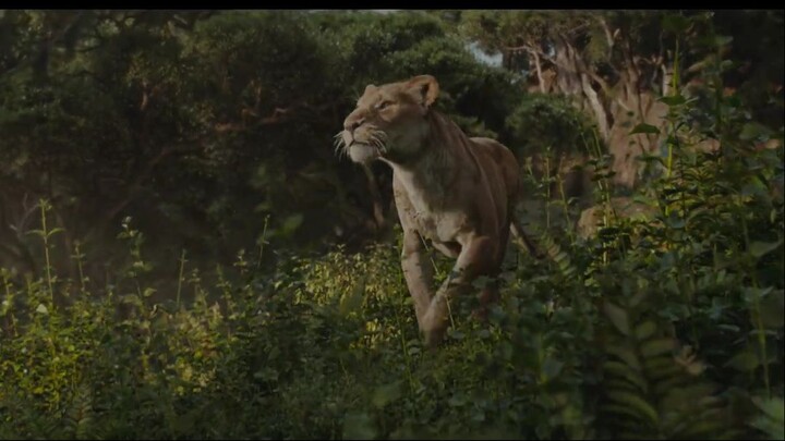 Mufasa: Legacy of the Lion King 👑Link in description