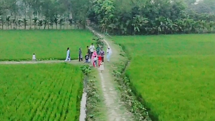 Natural beauty of Bangladesh🇧🇩