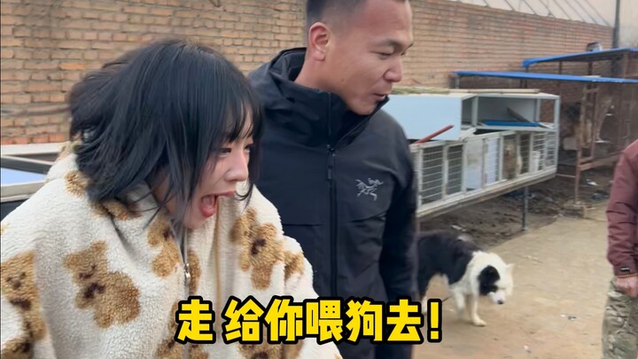 التقيت بمدرب الكلاب السيد بان هونغ في الشمال الشرقي! بالنسبة لي الذي يعشق الكلاب، كان يومًا سعيدًا ج