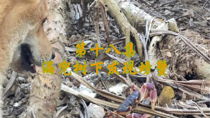 Selama masih di jalan, di mana-mana ada kejutan