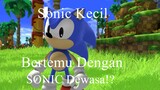 Time TRAVEL!!?? Menjelajahi Green Hill zone Bersama Sonic Dewasa! |Sonic Generation!