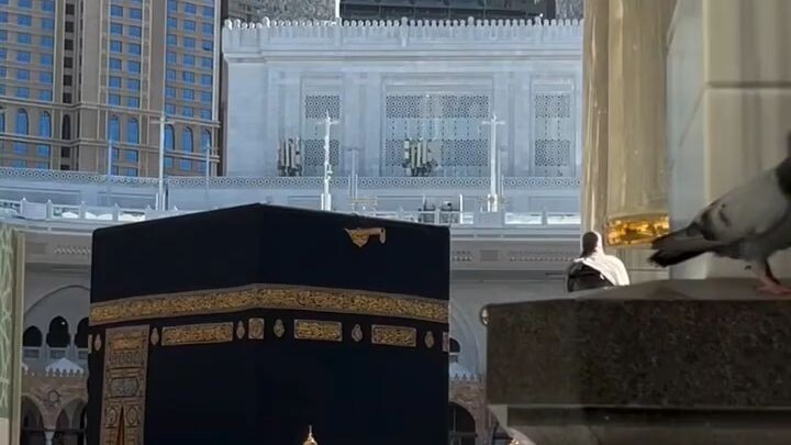 ইসলামিক ভিডিও🕋🕋🕋