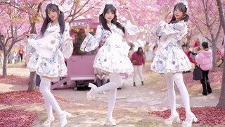 社 牛！神的随波逐流~