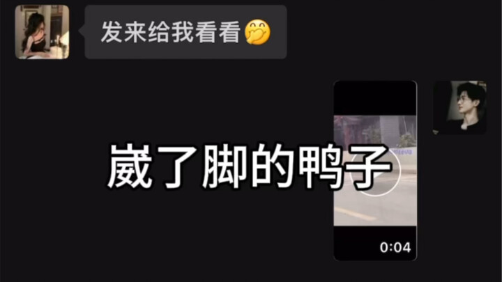 Even a sprained duck still hobbles along, leaning on the wall.