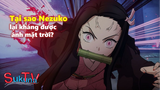 Thân là quỷ, tại sao Nezuko lại kháng được ánh mặt trời?
