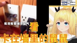 虚拟声优看《 奇 怪 的 鼠 鼠 增 加 了 》