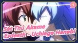 [Sát Thủ Akame] Esdeath - Cô gái xinh đẹp và mạnh mẽ - 'Uchiage Hanabi'_1