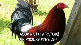 #kmjs #parody #manoknapula PUNGGOD NGA PULA (IlonggoVersion) w/ lyrics | ANG TUMALO SA MANOK NA PULA