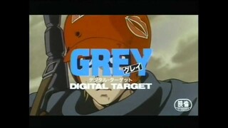 Grey: Digital Target Advertisement