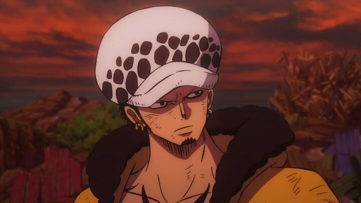 One piece Hancock love for luffy