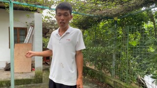 Một thanh niên dùng máy bay không người lái chọc vào tổ ong bắp cày. Cảnh tượng chỉ diễn ra chưa đầy
