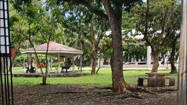 Just walking❤