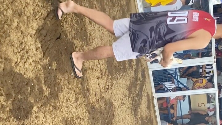 Santa Claus Tinola Line