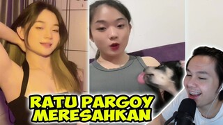 RATU PARGOY SEMAKIN MERESAHKAN